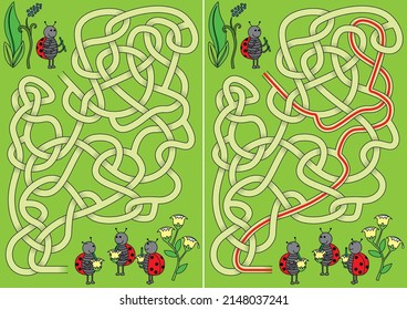 Ladybug maze for kids with a solution