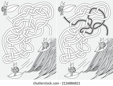 Ladybug maze for kids with a solution in black and white