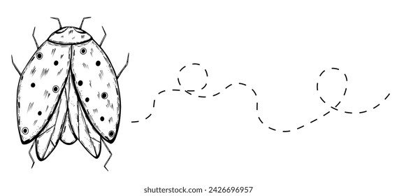 Ladybug nsect with trail in doodle style