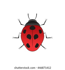 Ladybug. Old school tattoo style. Isolated on white. Vector Graphics.