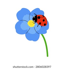 Ladybug on blue forget me not flower with green stem for nature commercial print on white background