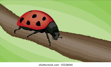 A ladybug on a branch with a green background.
