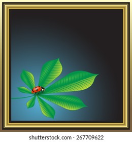 Ladybug on chestnut leaf - vector illustration.