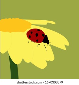 Ladybug on flower, illustration, vector on white background.