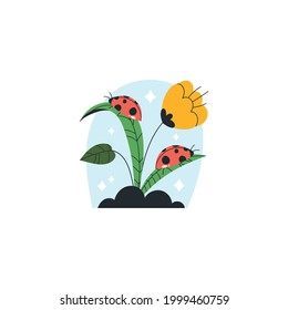 Ladybug On Flower Vector Illustration