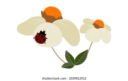 Ladybug on flower . Vector Kid drawing with white background 