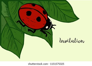 Ladybug on foliage. Invitation card design. Ladybug cartoon vector