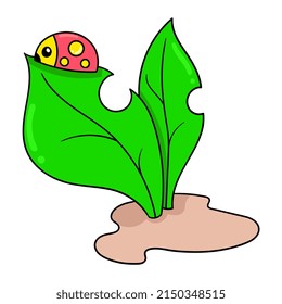 ladybug is on a fresh plant leaf, vector illustration art. doodle icon image kawaii.