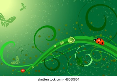 ladybug on grass