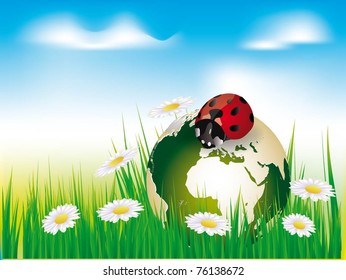 ladybug en un mundo verde