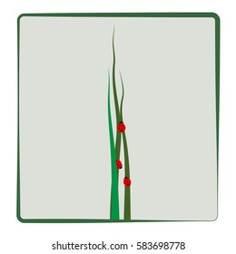 Ladybug on green grass in light square card. Cute color sign red insect symbol spring, summer, garden. Template for t shirt, apparel, card, poster etc. Design colorful element. Vector illustration