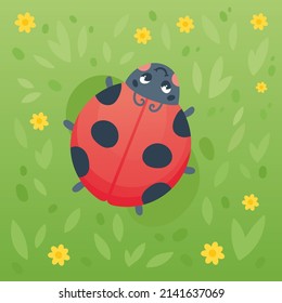Ladybug on the green grass, spring cartoon hand drawn vector illustration for kids