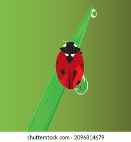 ladybug en hoja verde con fondo verde