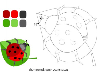 Ladybug on a green leaf. Children's coloring with an example. Vector illustration.