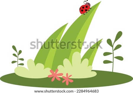 Ladybug on a green leaf in the garden