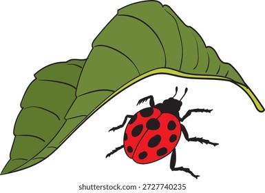 Joaninha na ilustração Folha Verde