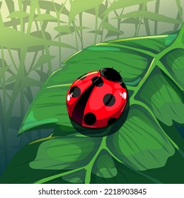 ladybug on green leaf vector illustration