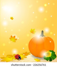 Ladybug on leaf 