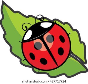 ladybug on a leaf