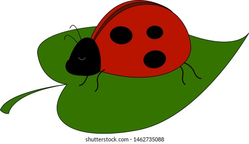 Ladybug on leaf, illustration, vector on white background