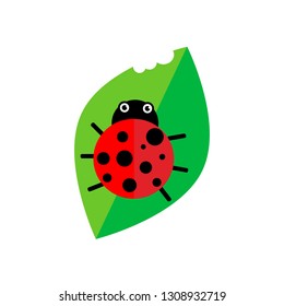 Ladybug on leaf vector illustration. Cartoon ladybug isolated in a flat style. Funny insects or beetles.