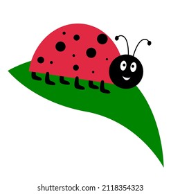 Ladybug on leaf vector illustration. Cartoon ladybug isolated in a flat style. Funny insects or beetles.