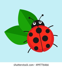 Ladybug on leaf vector illustration. Cartoon ladybug isolated in a flat style. Funny insects or beetles. 