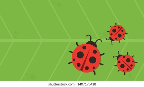 ladybug on leaf. wallpaper. free space for text. copy space.