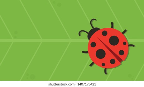 ladybug on leaf. wallpaper. free space for text. copy space.