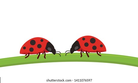 ladybug on leaf. wallpaper. free space for text. background. symbol. ladybug on white background.