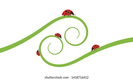 ladybug on leaf. wallpaper. free space for text. background. symbol. ladybug on white background.