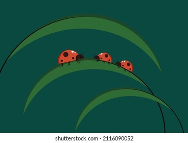 Ladybug on leaf. wallpaper. free space for text. background. symbol.
