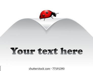 ladybug on paper