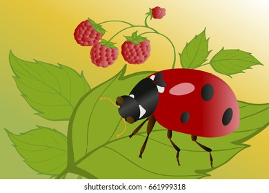 Ladybug on a raspberry bush. T-shirt graphics for kids vector illustration.