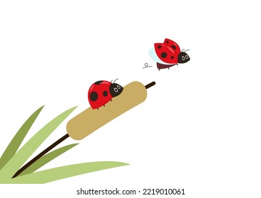 Ladybug on Reed. Reed, Cattail, Cane. Flat Vector Icon illustration. Cartoon grass, reeds and canes isolated on white background.