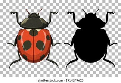 Ladybug on transparent background illustration