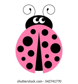 Ladybug on a white background