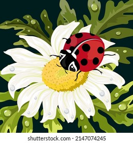 Ladybug on white chamomile.Vector illustration with a ladybug on a camomile on a colored background.