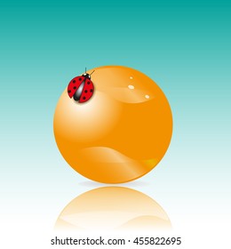 Ladybug on a yellow balloon
Drawing ladybug on a yellow ball, green background image