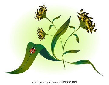 Ladybug on yellow flower. EPS10 vector illustration.