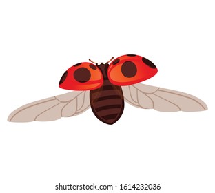 Ladybug with open shell and wings flying beetle cartoon bug design flat vector illustration isolated on white background