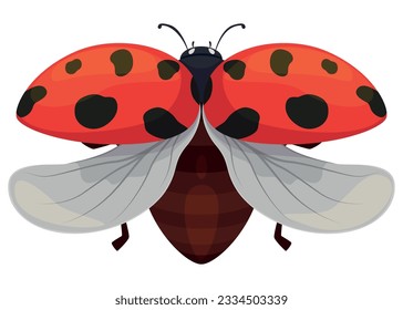 Paracaidista con alas abiertas listo para volar patas de insectos con manchas rojas y antenas vectoriales de ilustración plana. Ave Ladybird afortunado bromista alada fauna salvaje verano escarabajo primavera lindo carácter natural