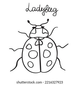 Ladybug. Outline icon. Insects. Vector design.