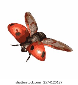 A ladybug with partially open wings, revealing the transition from its black body to red wings.