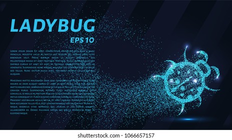 Ladybug of particles. Ladybug consists of circles and points. Vector illustration