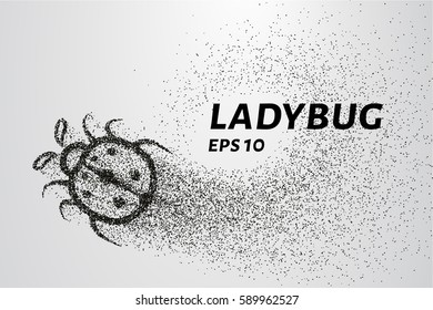 Ladybug of particles. Ladybug consists of circles and points. Vector illustration.