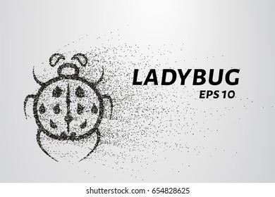 Ladybug of particles. Ladybug is made of circles and dots. Vector illustration