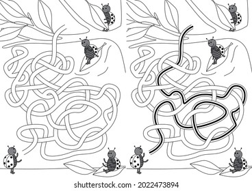 Ladybug playing with autumn leaves maze for kids with a solution in black and white