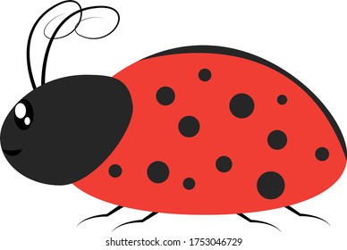 Ladybug in profile, illustration, vector on white background