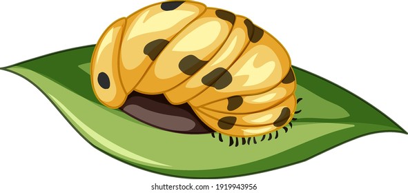 A ladybug (Pupa stage) on white background illustration